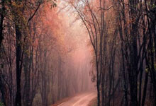 文胖:现在增加詹姆斯出场时间反而更好 因为更高排名对湖人有利.