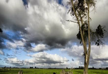 NG28官网:杜兰特:我的拇指整个赛季都不太舒服 但这不会影响我的发挥.