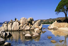 铁打主力,孔德连续19次代表法国队出场,为队内目前最长.